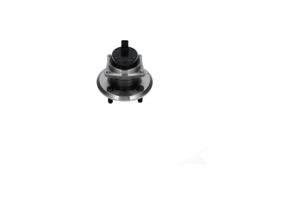 Picture of KAVO PARTS - WBH-9005 - Wheel Bearing Kit (Wheel Suspension)