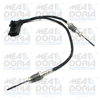 Picture of Sensor -  exhaust gas temperature - MEAT & DORIA - 12448