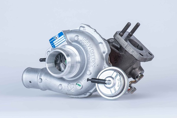 Picture of BorgWarner - 53039880516