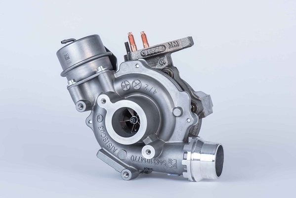Picture of BorgWarner - 54389880006