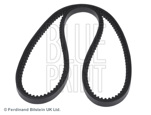 Picture of BLUE PRINT - AD13V1175 - V-Belt (Belt Drive)