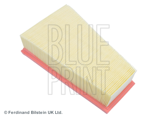 Picture of BLUE PRINT - ADN12289 - Air Filter (Air Supply)