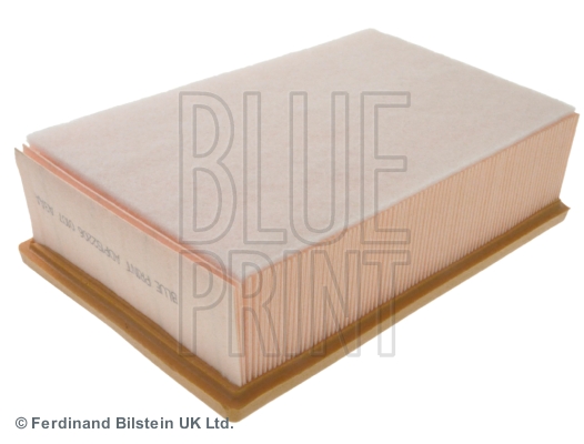Picture of BLUE PRINT - ADP152206 - Air Filter (Air Supply)