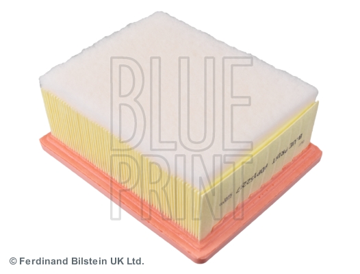 Picture of BLUE PRINT - ADP152217 - Air Filter (Air Supply)