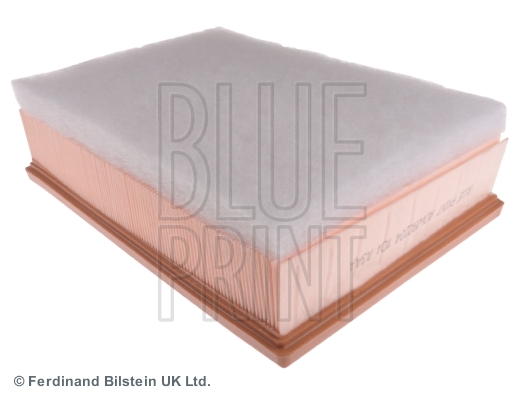 Picture of BLUE PRINT - ADW192204 - Air Filter (Air Supply)