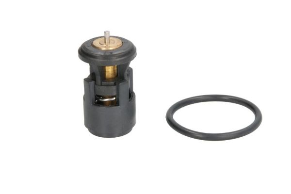 TERMOSTAT - THERMOTEC - D2A005TT