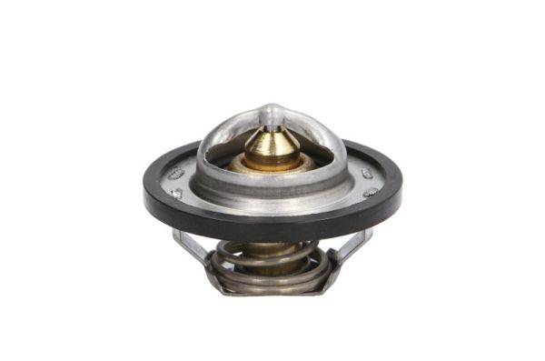 TERMOSTAT - THERMOTEC - D2R001TT