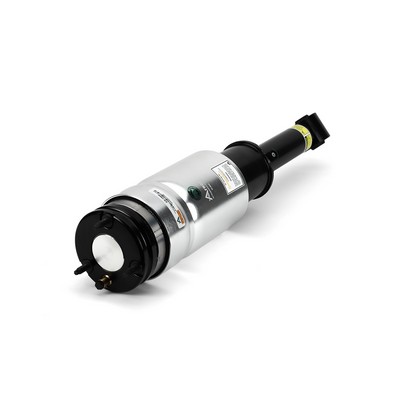 Picture of Arnott - AS-2809 - Air Spring Strut (Suspension)