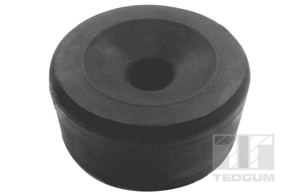 Slika Držač, ram vozila - TEDGUM - 00376204