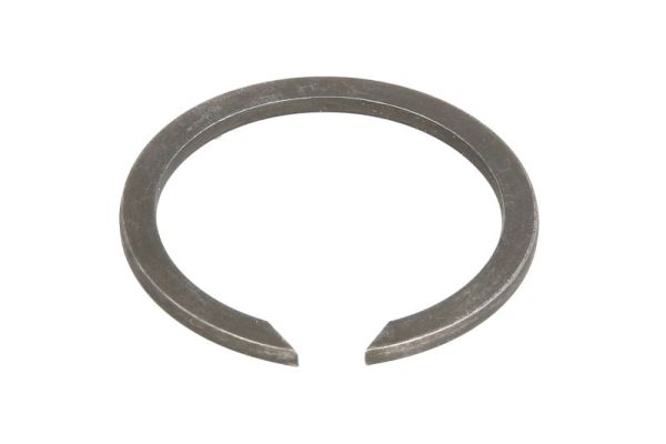 Slika BTA - B06-1056 - Senzorski prsten, ABS