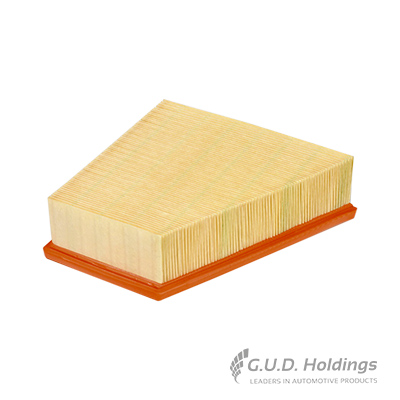 Picture of Air Filter - GUD - AG1049